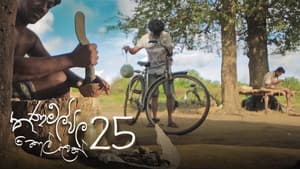 Episodio 25