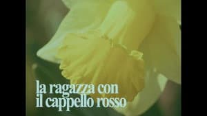 La Ragazza Con Il Cappello Rosso — foto 1