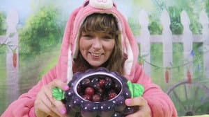 Barf Bunny — foto 1