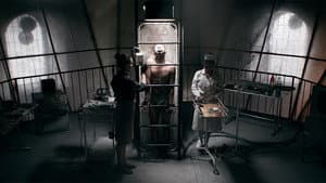 Humano — foto 2