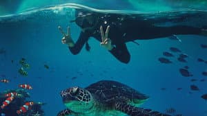 Beyond the Reef — foto 2