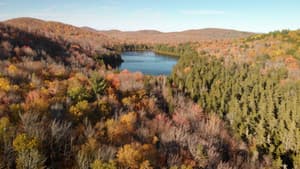 Le retour de la nature sauvage — foto 1