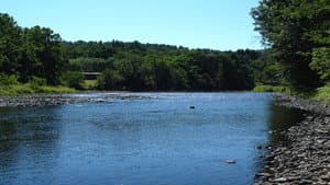 A River Somewhere — foto 1