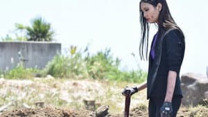 Missデビル 人事の悪魔・椿眞子 — foto 4