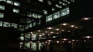 亡命鴛鴦 — foto 11