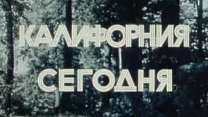 Америка семидесятых. Калифорния сегодня — foto 1