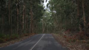 Llacunes — foto 1