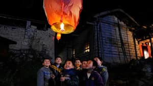 The Orange Tree And The Boy — foto 4