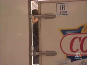 Episodio 7