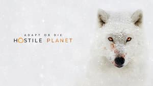 Planeta hostil — foto 5