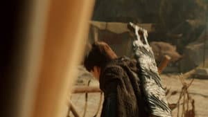 Episodio 11
