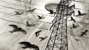 Westall 66: A Suburban UFO Mystery — foto 1
