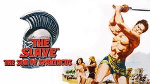 Il figlio di Spartacus — foto 1