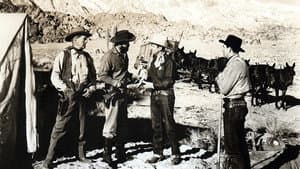 Mule Train — foto 1