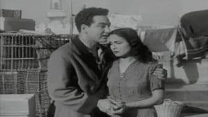 نرجس — foto 1