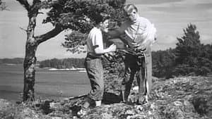 Sjösalavår — foto 4