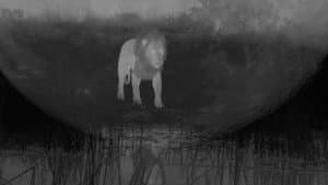 Birth of a Pride — foto 2