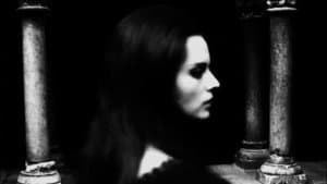 Cuadecuc, vampir — foto 2
