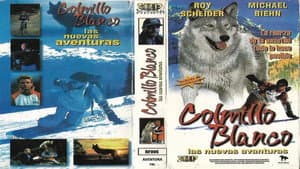 Colmillo blanco, las nuevas aventuras — foto 4