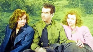 The Forest Rangers — foto 1