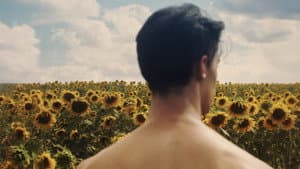 Sunflower — foto 3