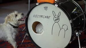The Heart Is a Drum — foto 2