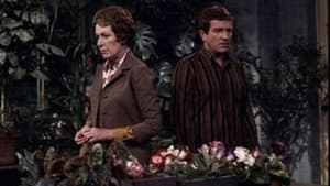 Random Quest — foto 1