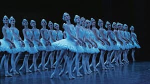 Le lac des cygnes au théâtre national de Chaillot — foto 1