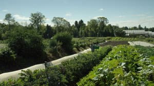 La ferme et son état — foto 3