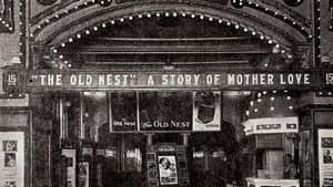The Old Nest — foto 1