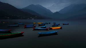Blue Kangling — foto 5
