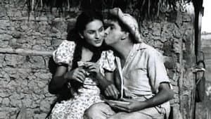 Candinho — foto 2
