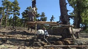 Episodio 7