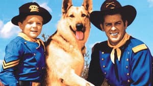 The Adventures of Rin Tin Tin — foto 2