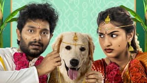 స్లమ్ డాగ్ హస్బెండ్ — foto 4