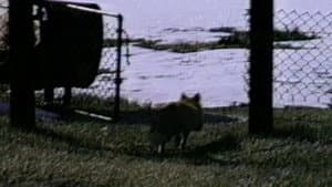Episodio 12