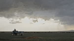 Son Hasat — foto 5