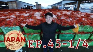 Episodio 45