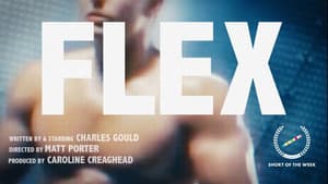 Flex — foto 2