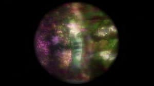 The Forgotten Colours of Dreams — foto 1
