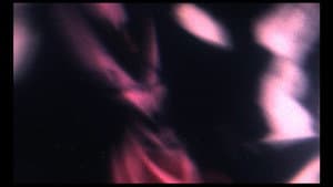 Madhouse Mitchel — foto 1