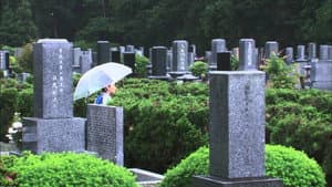 僕らは歩く、ただそれだけ — foto 1