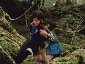 Episodio 13