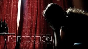 PERFECTION — foto 2