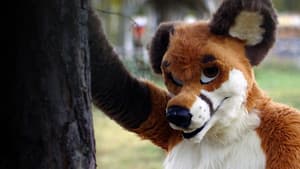 Fursonas — foto 2