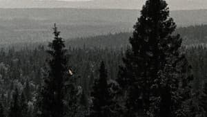 Pakeneva horisontti — foto 1