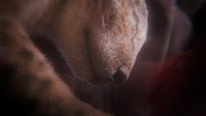 In the Womb: Animal Babies — foto 6
