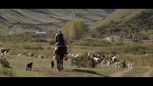 Wings of Kyrgyzstan — foto 5