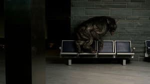 Battledogs — foto 1