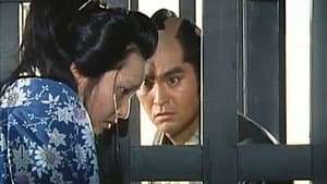 おんな犯科帳 江戸拷問刑罰抄 — foto 4